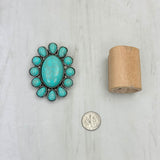 WRS240615-25                    Silver oval metal with blue turquoise stone wild rag slide