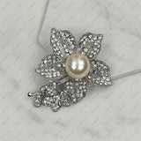 BCH230925-01     Silver with clear crystal brooch