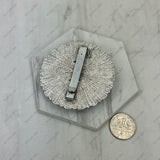 BPD240530-04-BLUE                    Silver metal with blue turquoise stone wild slider