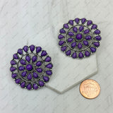 ER221015-09-PURPLE	     Silver Metal with purple stone concho Earrings