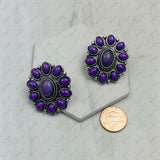 ER221115-03-PURPLE            Silver metal with purple stone beads oval Earrings
