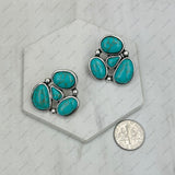 ER250120-01-BLUE           Silver metal with blue turquoise stone Earrings