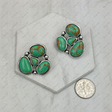 ER250120-01-GREEN            Silver metal with green turquoise stone Earrings