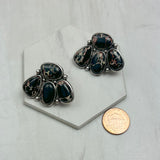 ER250430-01-BLUE            Silver metal with blue turquoise stone Animal paw Earrings