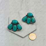 ER250430-01-BLUE            Silver metal with blue turquoise stone Animal paw Earrings