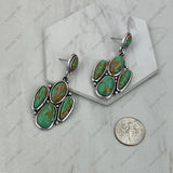 ER251230-01-BLUE                    Silver metal with blue turquoise stone paw print Earrings