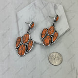 ER251230-01-WHITE                               Silver metal with white turquoise stone paw print Earrings