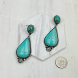 ERZ231205-41                      Silver metal with black and orange turquoise stone Earrings