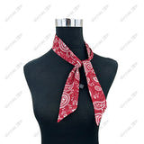 SCARF31               Western silkable Scarf