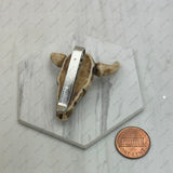 WRS250607-02             Brown longhorn western wild rag slide